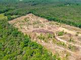 40 ac County Road 118 - Photo 9