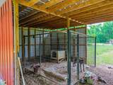 608 County Road 428 - Photo 49