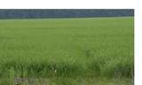 000 Hwy 32 West - Photo 2