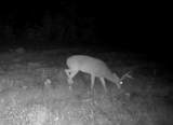 00 Hwy 8 E - Photo 21