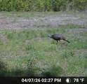 00 Hwy 8 E - Photo 22