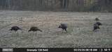 00 Hwy 8 E - Photo 23
