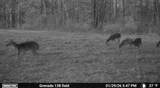 00 Hwy 8 E - Photo 26
