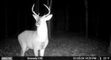 00 Hwy 8 E - Photo 27