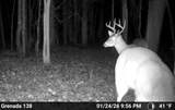 00 Hwy 8 E - Photo 28