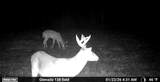 00 Hwy 8 E - Photo 31