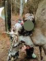 00 Hurt-Wood Rd - Photo 103