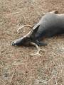 00 Hurt-Wood Rd - Photo 109