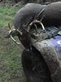 00 Hurt-Wood Rd - Photo 110