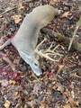 00 Hurt-Wood Rd - Photo 20