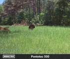 00 Hurt-Wood Rd - Photo 25