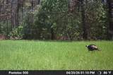 00 Hurt-Wood Rd - Photo 41