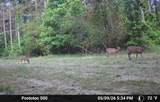 00 Hurt-Wood Rd - Photo 56