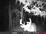 00 Hurt-Wood Rd - Photo 8
