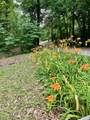 1475 Snow Lake Drive - Photo 2