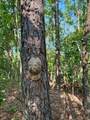 000 Hwy 328 (Cotton Road) - Photo 24