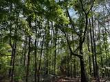 000 Hwy 328 (Cotton Road) - Photo 25