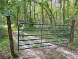 000 Hwy 328 (Cotton Road) - Photo 6