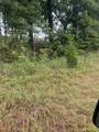 4461 Hwy 305 South - Photo 11