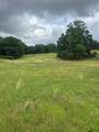 4461 Hwy 305 South - Photo 3