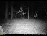 57.9 ac County Road 291 - Photo 10