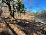57.9 ac County Road 291 - Photo 12
