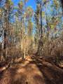 57.9 ac County Road 291 - Photo 13