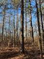 57.9 ac County Road 291 - Photo 14