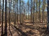 57.9 ac County Road 291 - Photo 16