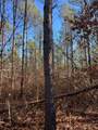 57.9 ac County Road 291 - Photo 19