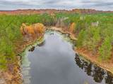 57.9 ac County Road 291 - Photo 9