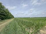 tbd Dummyline Road - Photo 34