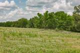 192.5 ac Silo Road - Photo 10