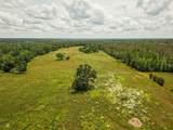 192.5 ac Silo Road - Photo 15