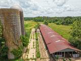192.5 ac Silo Road - Photo 16