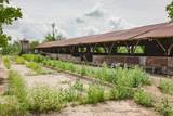 192.5 ac Silo Road - Photo 22