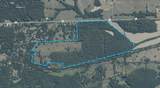 192.5 ac Silo Road - Photo 4