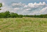 192.5 ac Silo Road - Photo 8
