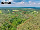 20.5 ac County Road 224 - Photo 10
