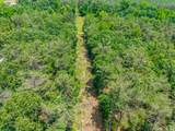 20.5 ac County Road 224 - Photo 13