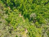 20.5 ac County Road 224 - Photo 14