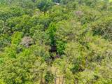 20.5 ac County Road 224 - Photo 15