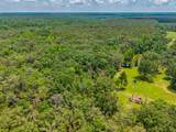 20.5 ac County Road 224 - Photo 16