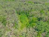 20.5 ac County Road 224 - Photo 18