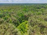 20.5 ac County Road 224 - Photo 19