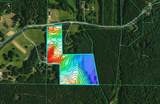 20.5 ac County Road 224 - Photo 3