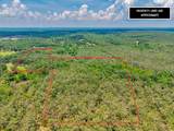20.5 ac County Road 224 - Photo 7