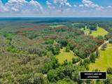 20.5 ac County Road 224 - Photo 8