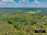 20.5 ac County Road 224 - Photo 9