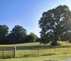 5150 Hwy 305 - Photo 15